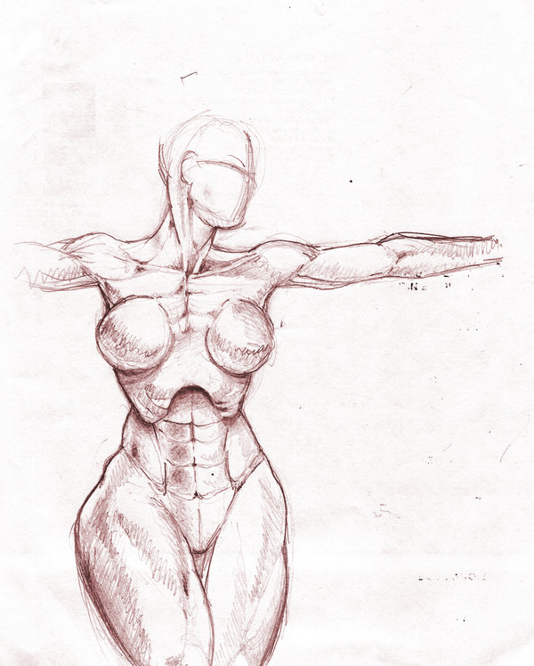 600x748 Anatomy Female Musculature By Kaneandjake