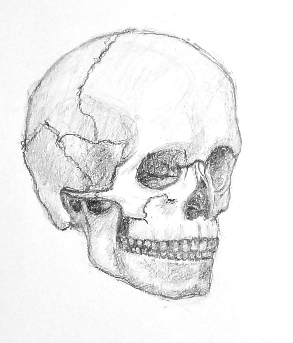 1004x1175 Skull Views Watercolor Journal