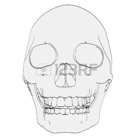 450x450 Cartoon Image Of Female Skull Stock Photo, Picture And Royalty