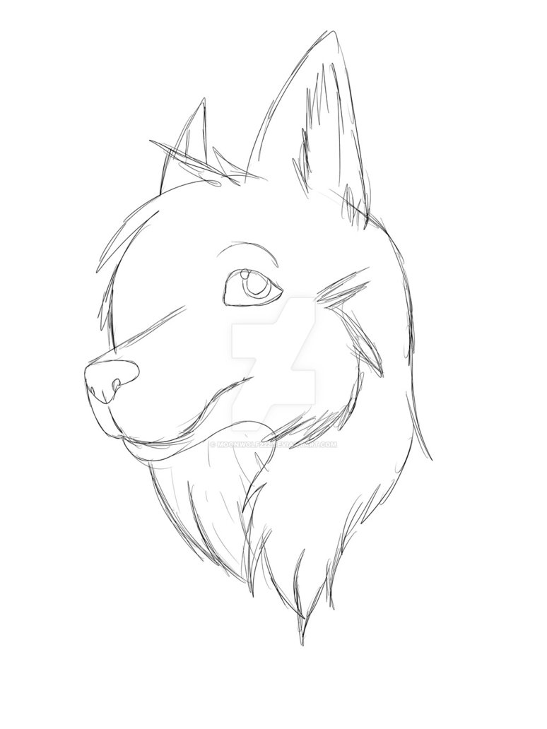 774x1032 Female Anthro Wolf Wip Sketch By Moonwolf222