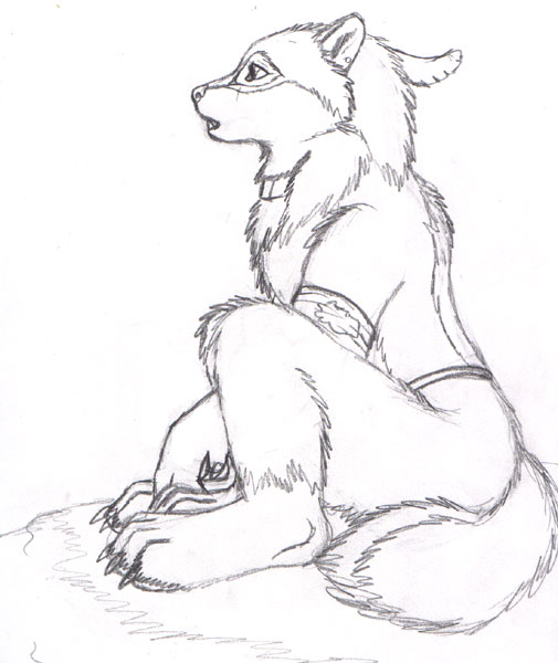 505x600 A Sad Wolf Pup By Autumnfire