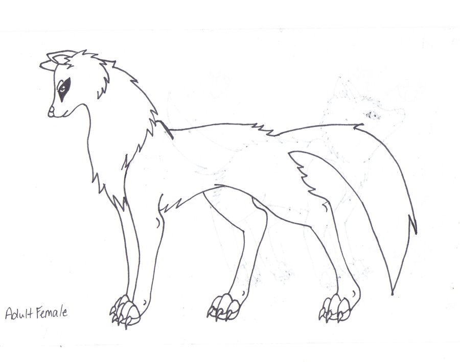 900x709 Adult Female Wolf Lineart By Deviant Deidarawolf