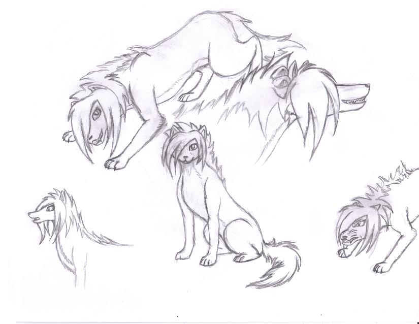 825x638 Female Wolf Character By Tigerstripe94