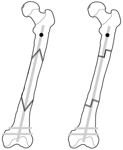 248x304 1483202 A.jpg