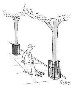 249x300 Dog Fence Drawings Fine Art America