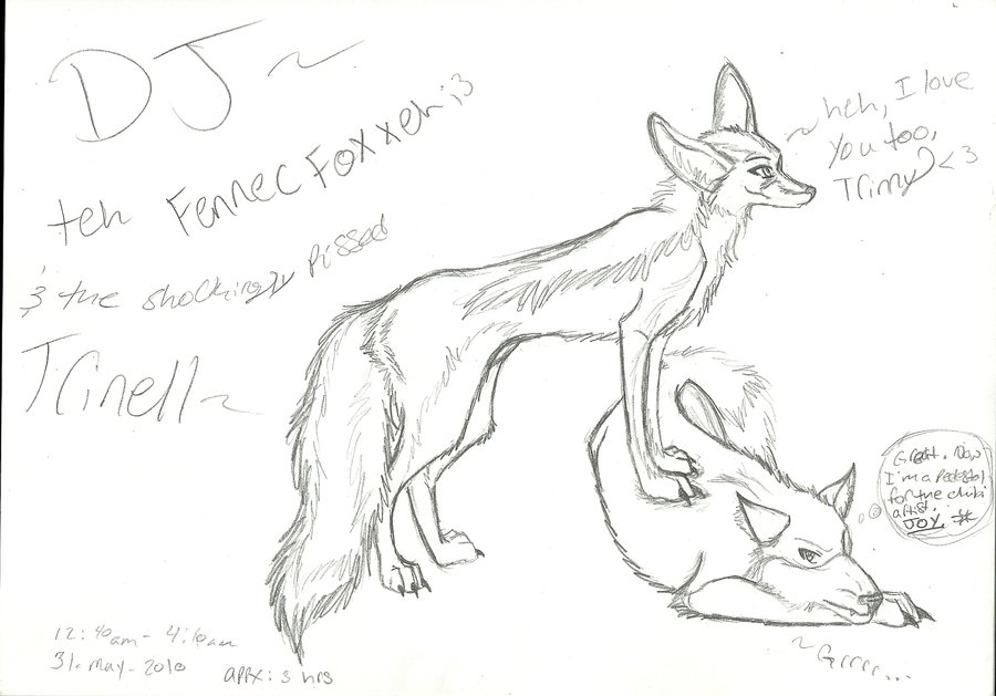 900x629 Dj The Fennec Fox By Kiavanielkawolf