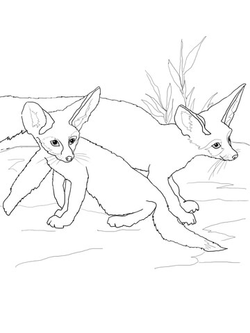 360x480 Fennec Fox Babies Coloring Page Free Printable Coloring Pages