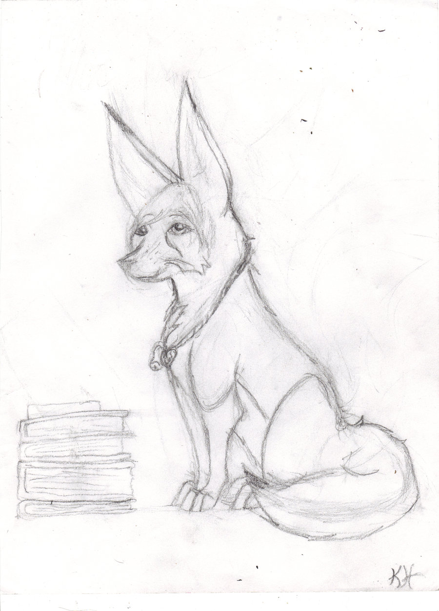 900x1253 Fennec Fox By Mia Kun The Ecofreak