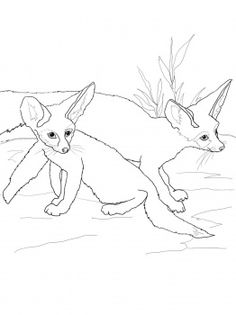 236x315 Fennec Fox Coloring Wild Animals Pages Fox