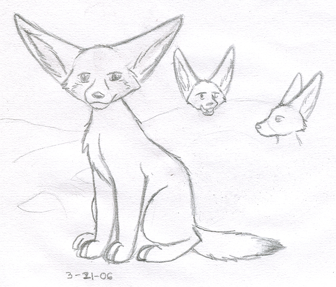 1111x948 Fennec Sketches By Theawkwardpossum