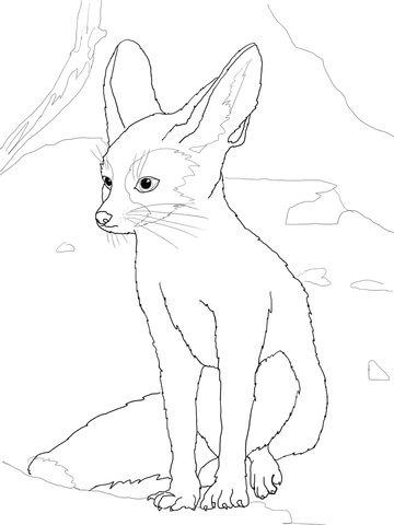 360x480 Fennec Coloring Page Free Printable Coloring Pages