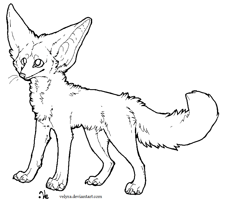 804x683 Fennec Fox Lineart 2 By Velyra