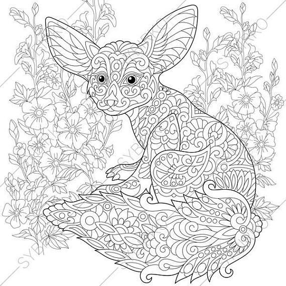 570x570 Adult Coloring Pages. Fennec Fox. Zentangle Doodle Coloring Book
