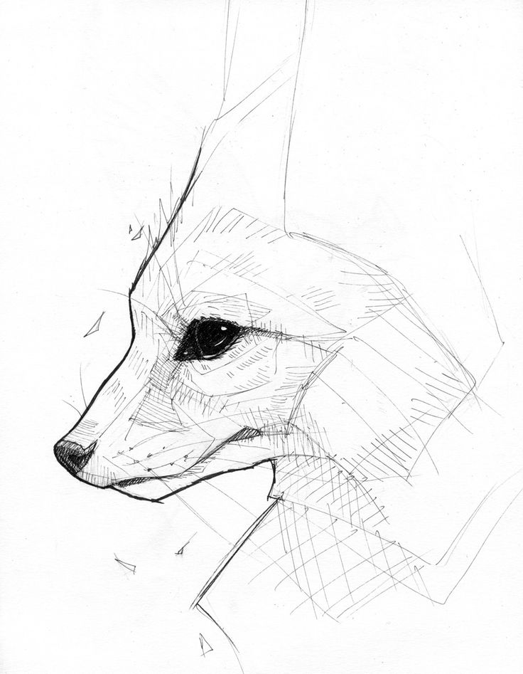 736x947 The 11 Best Images About Fxrp On Animals And Pets