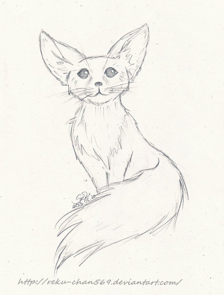 779x1025 Fennec Fox By Reku Chan569
