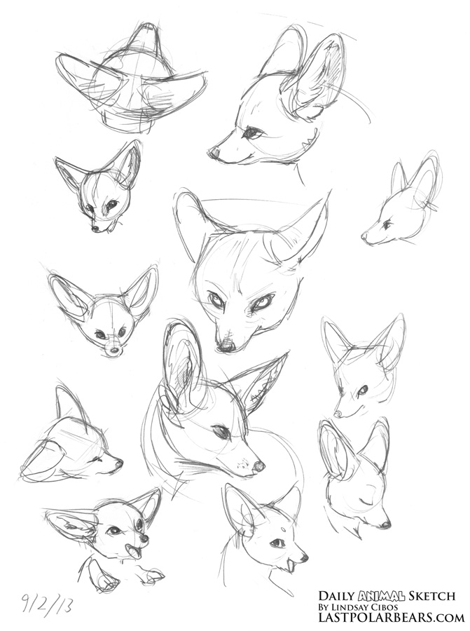 671x900 Daily Animal Sketch Giraffe And Fennec Fox Last Of The Polar Bears