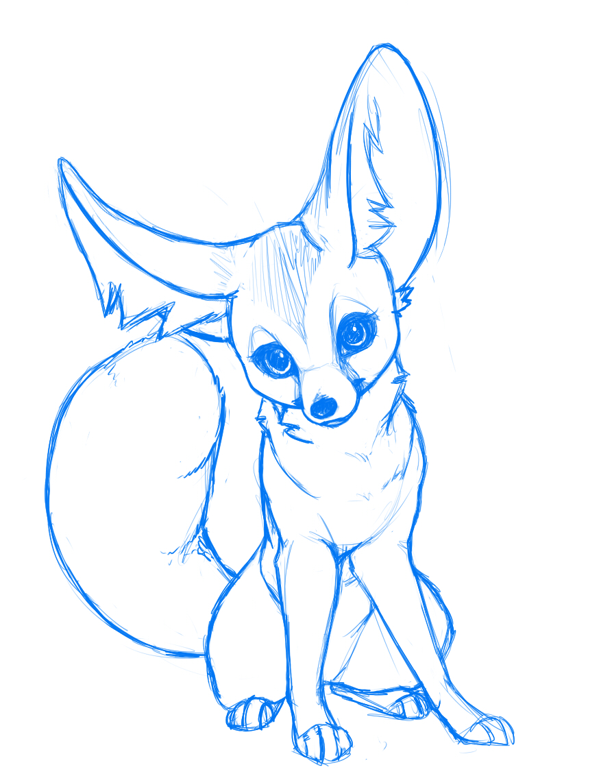 893x1132 Fennec Sketch Weasyl