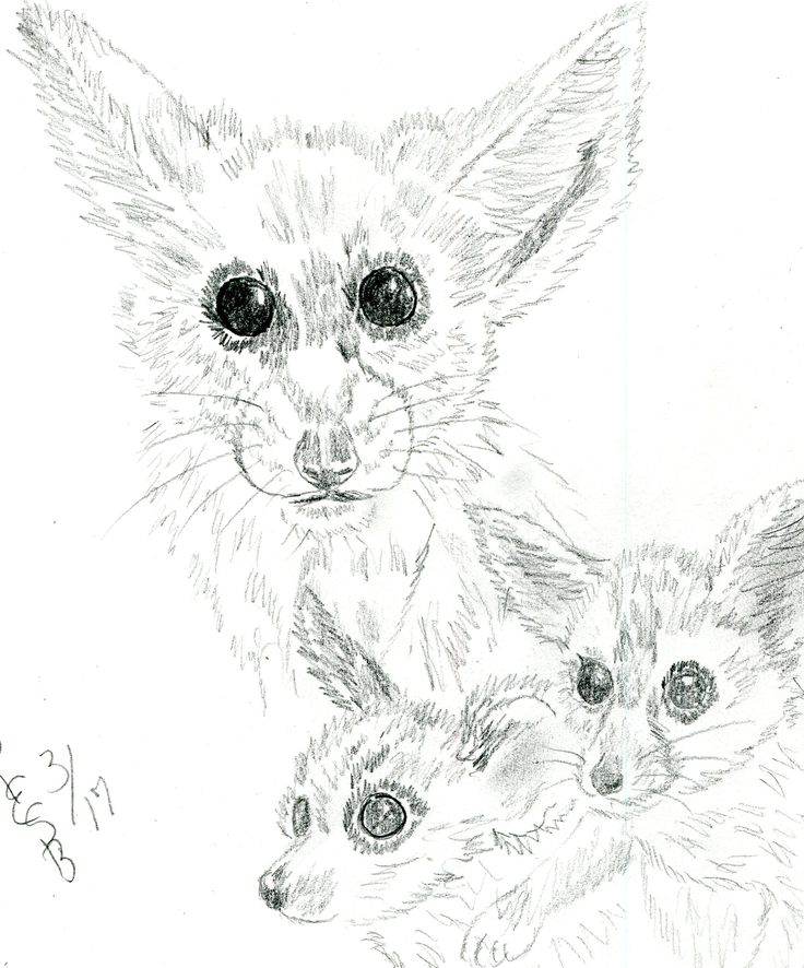 736x886 161 Best My Original Art Work