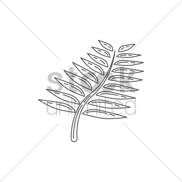 600x600 Silver Fern Vector Image