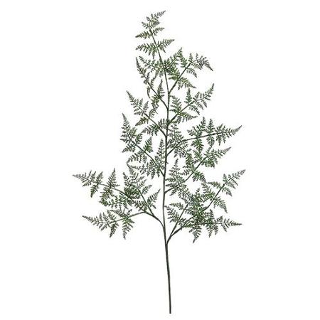 450x450 Cheap Fern Wood Garden, Find Fern Wood Garden Deals On Line