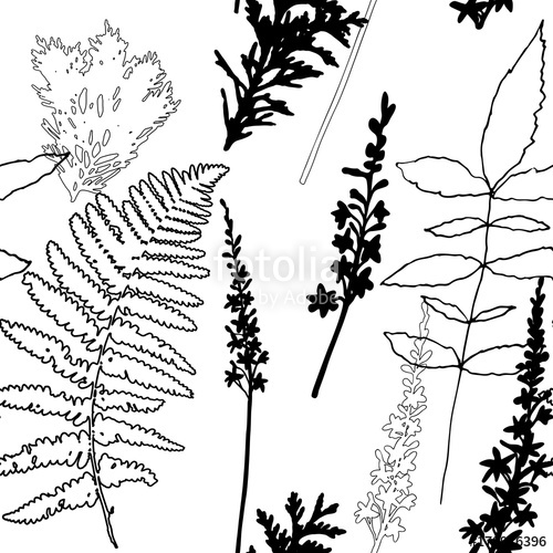 500x500 Floral Vector Seamless Pattern With Wild Flowers, Fern Leaves
