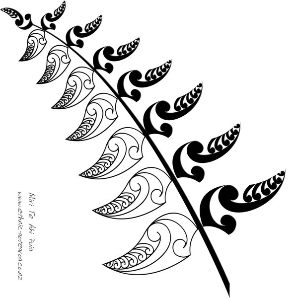 600x600 The Nz Silver Fern By Dragonaotearoa