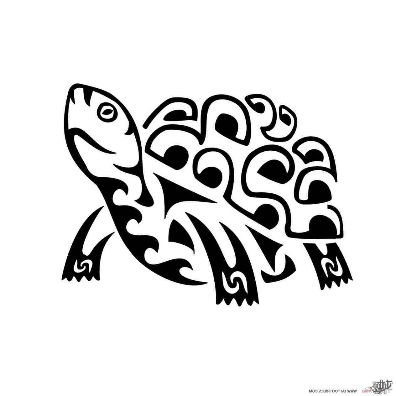 1264x1264 Drawing Best Hawaiian Tribal Turtle Drawings Cute Land Tattoo