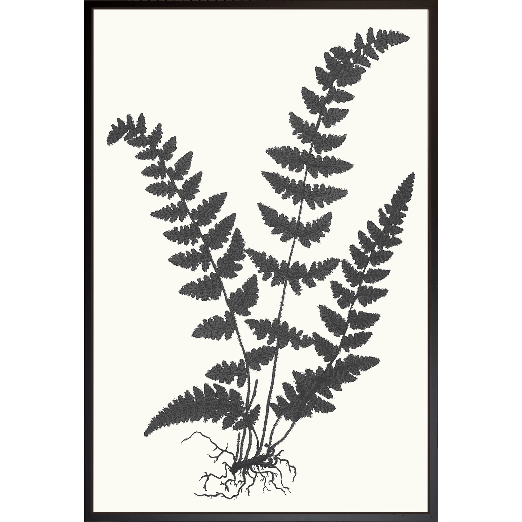 2000x2000 Art Virtuoso