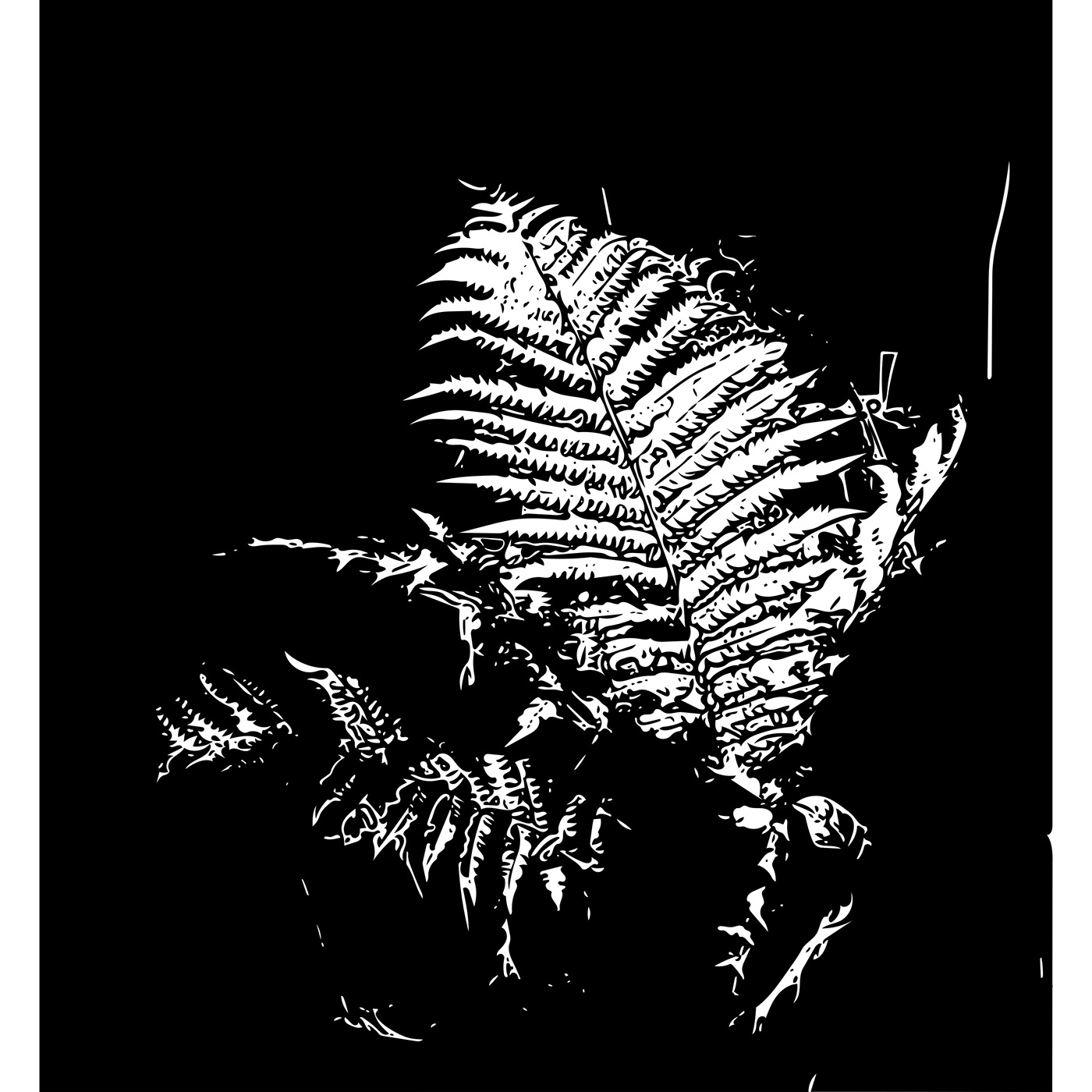 1400x1400 Northern Fern On Behance