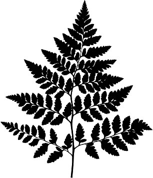 306x355 Tree Wall Decals