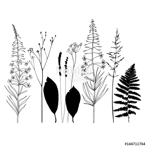 500x500 Vector Floral Background With Wild Meadow Flowers And Herbs.thin