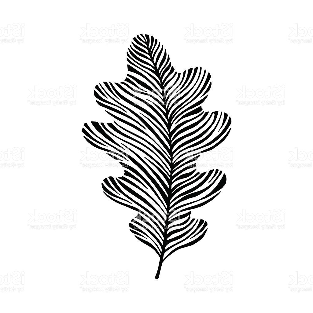1024x1024 Best Hand Drawn Oak Leaf Eco Icon Vector Drawing