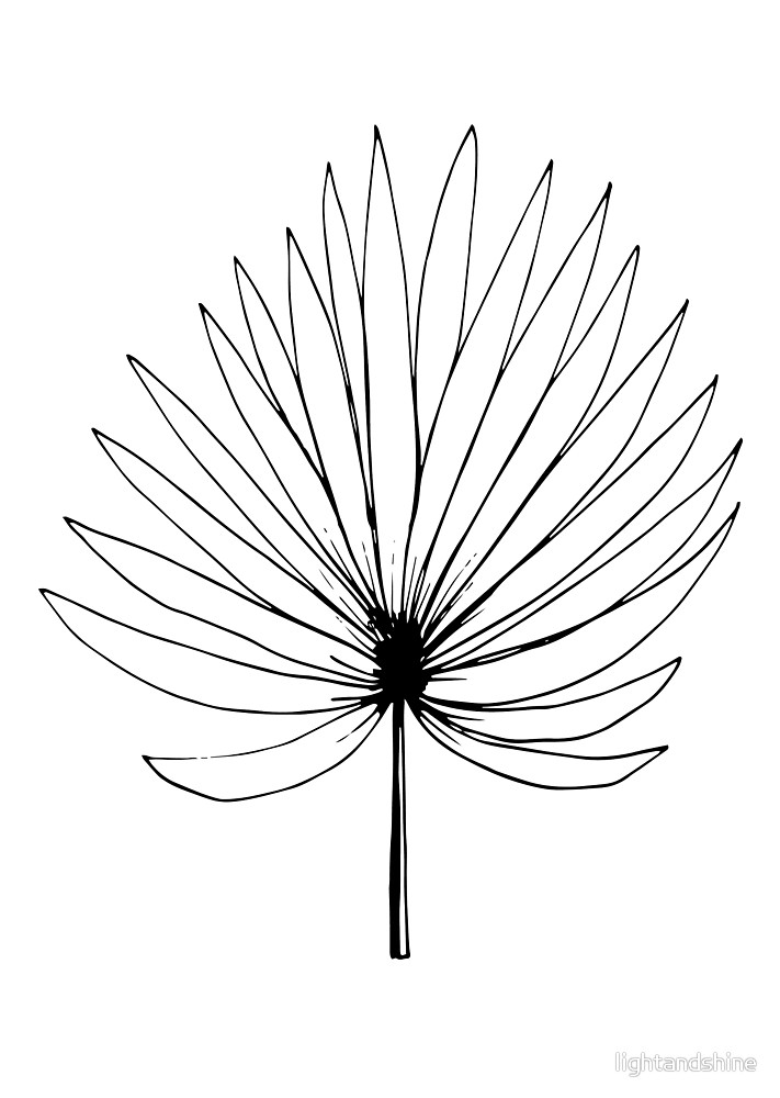 711x1000 Leaf Fern Line Art By Lightandshine Redbubble