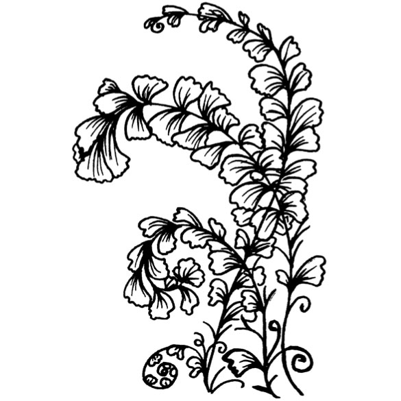 585x585 Purple Daisy Design E 499 Curly Fern