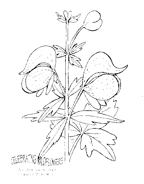 504x642 Umatilla National Forest Land