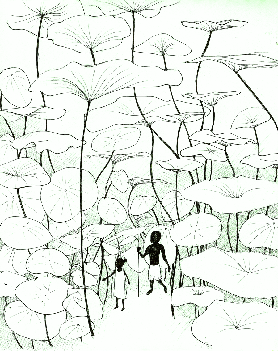 900x1136 Forest Of Ferns And It Is Good