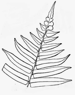 315x400 Future Plants By Randy Stewart Fern