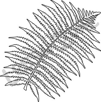 329x331 Lesson Zone Au