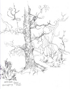 238x300 Northern California Society Of Botanical Artists Photos 2016