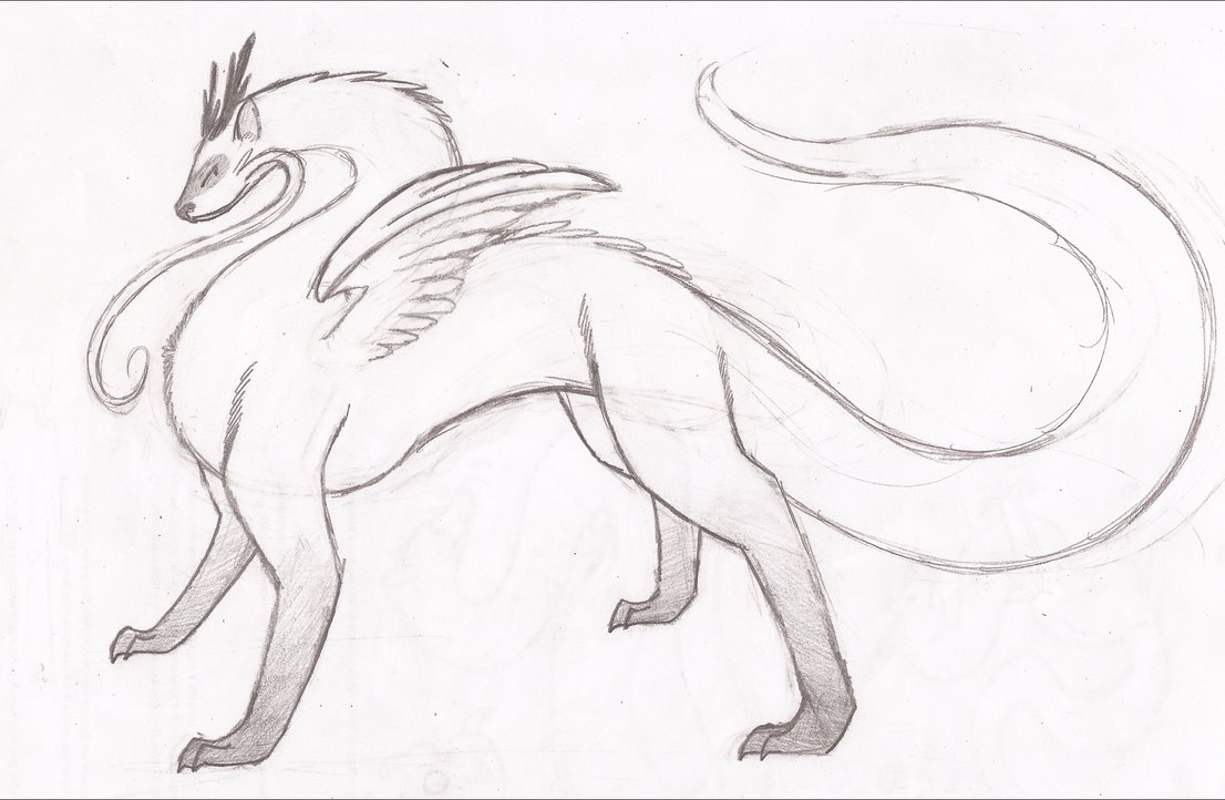 1106x722 Ferret Dragon Mount Design By Tankerfishygaladopts