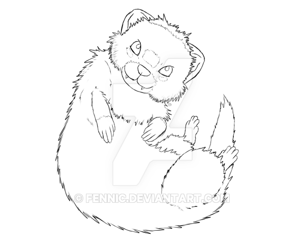 600x480 Commission Curled Up Ferret By Fennic
