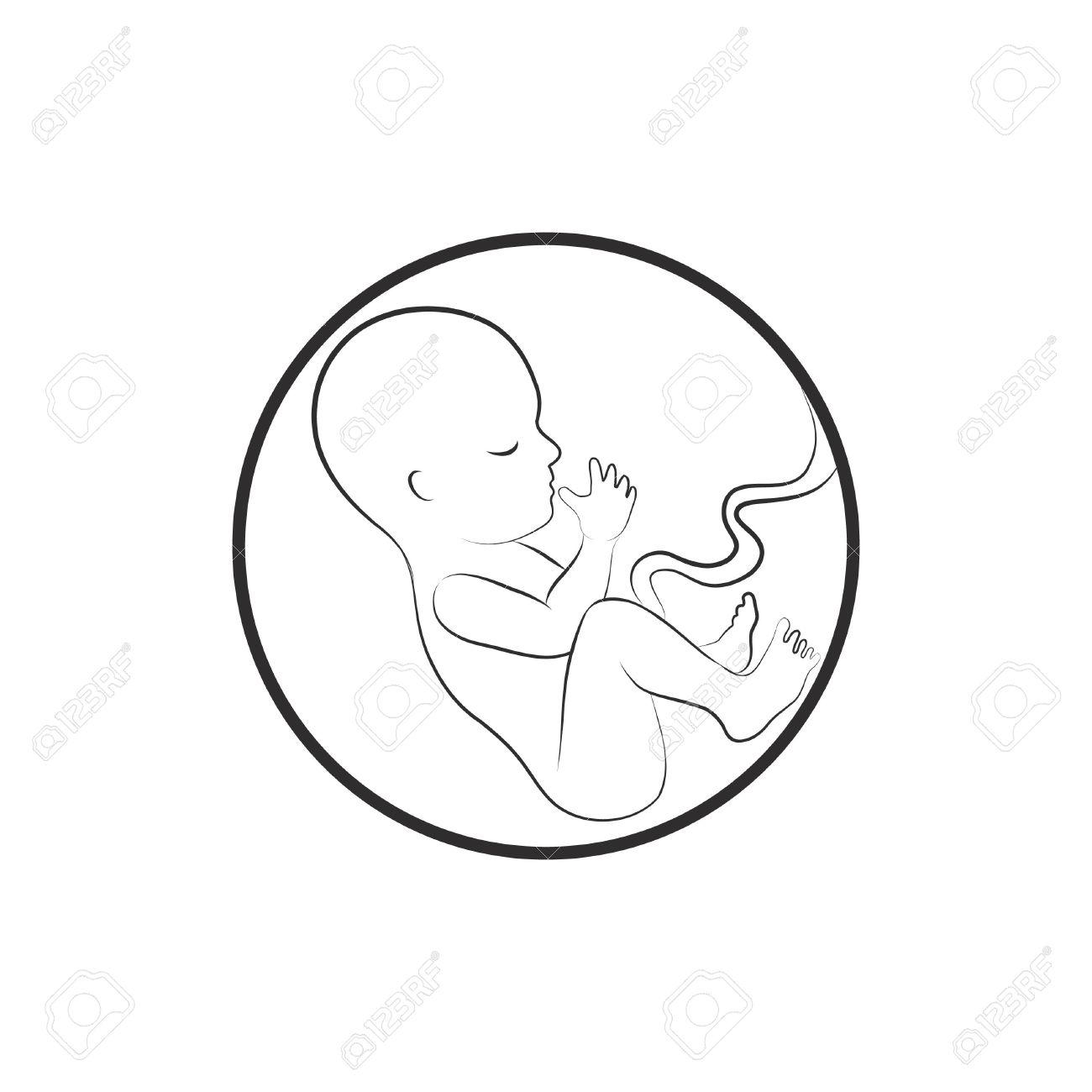 1300x1300 Fetus Icon. Embryo Sketch Illustration Royalty Free Cliparts