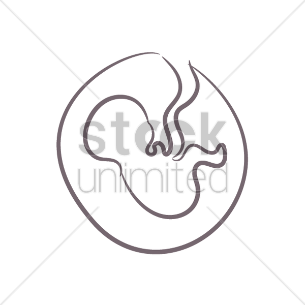 600x600 Fetus In Womb Vector Image