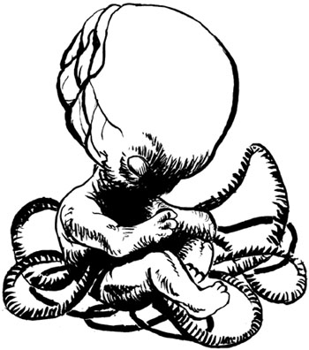 350x396 Scary Fetus By Pill