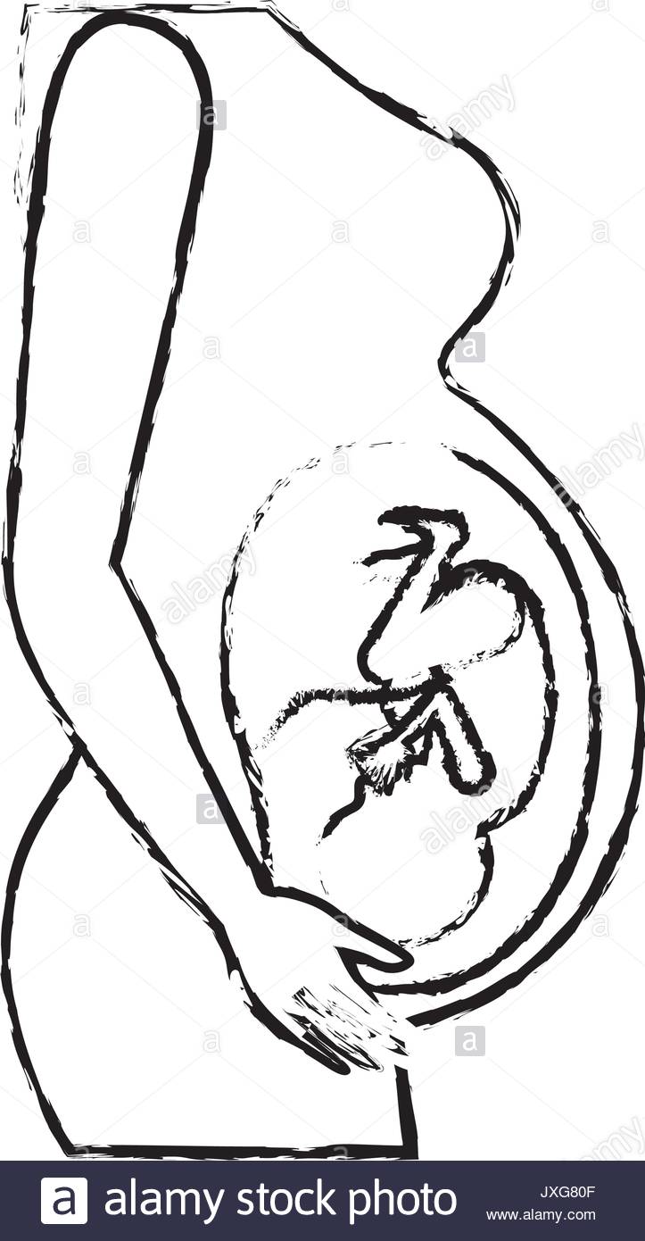 723x1390 Embryo Black And White Stock Photos Amp Images