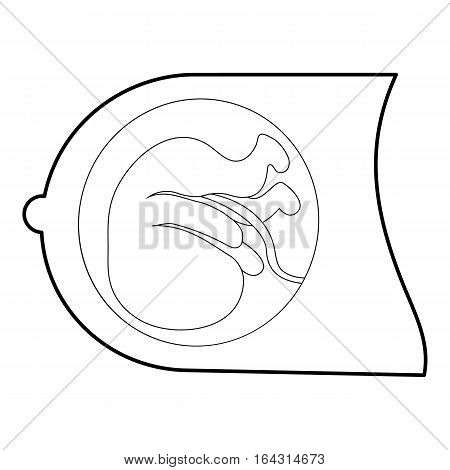 450x470 Fetus Images, Illustrations, Vectors
