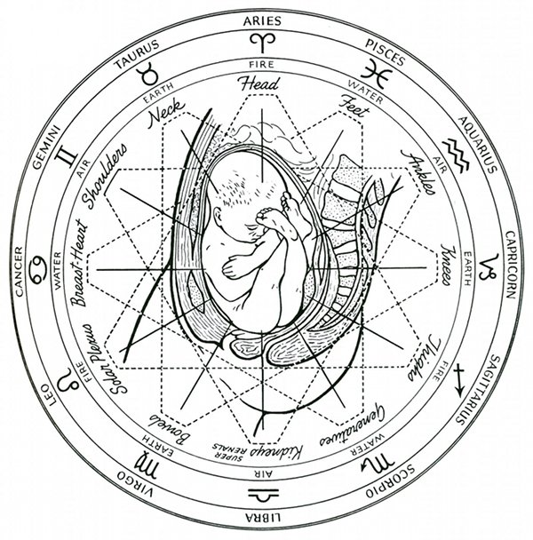 600x608 Polarity Therapy Volume 1, Book 1, Chart 05