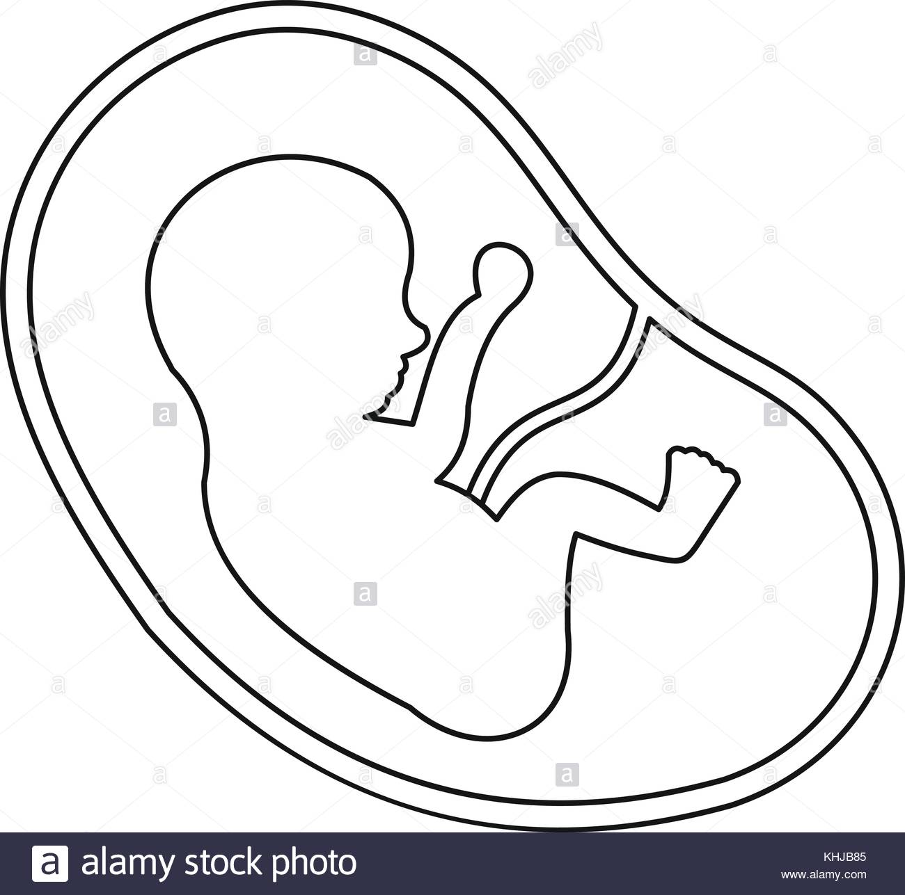 1300x1287 Womb Black And White Stock Photos Amp Images