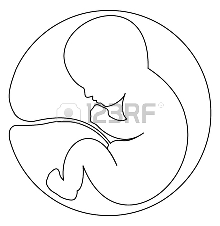 439x450 Baby In Womb One Line Drawing Royalty Free Cliparts, Vectors,