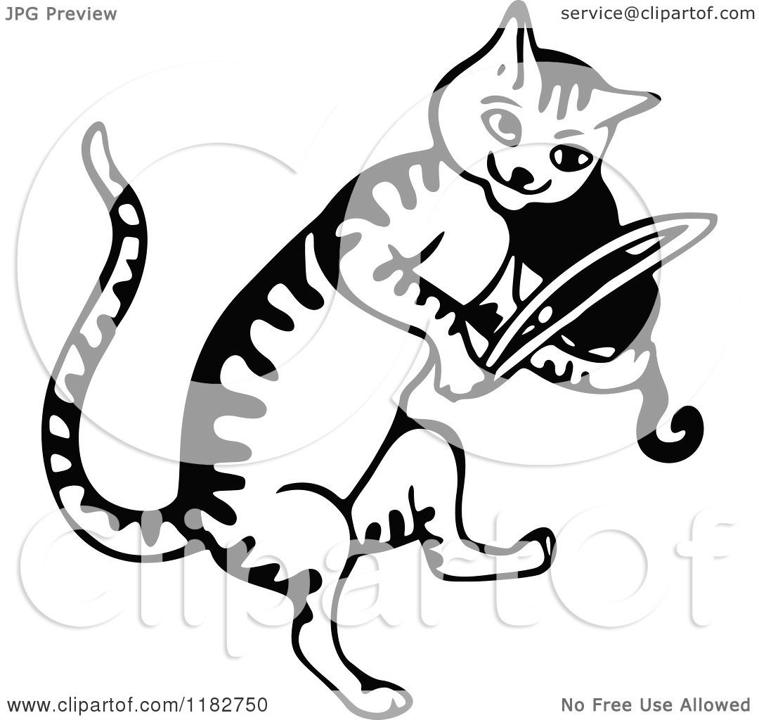 1080x1024 Clipart Of A Black And White Cat Playing A Fiddle